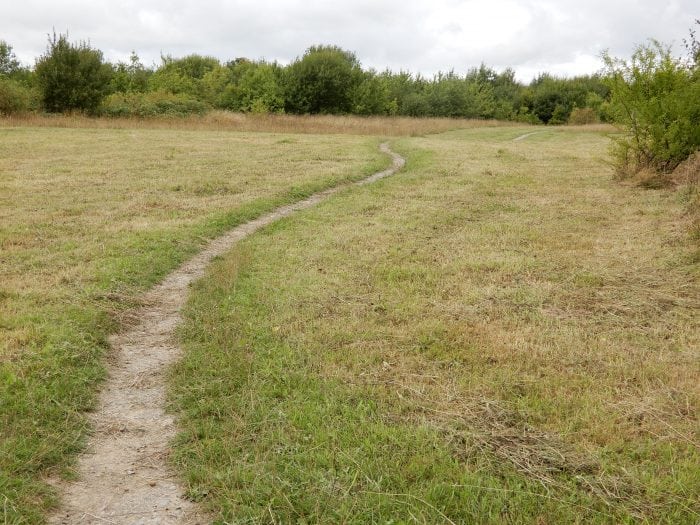 Ashford Community Woodland