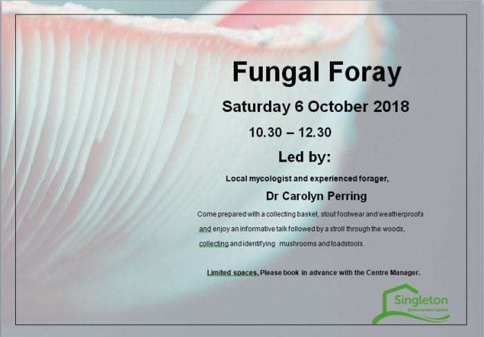 Fungal Foray