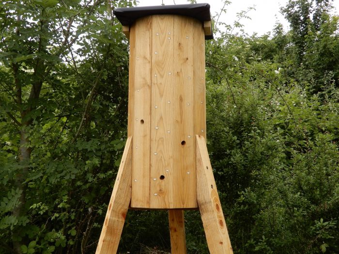 Bee Box mimics tree