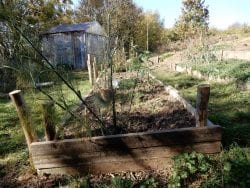 allotment