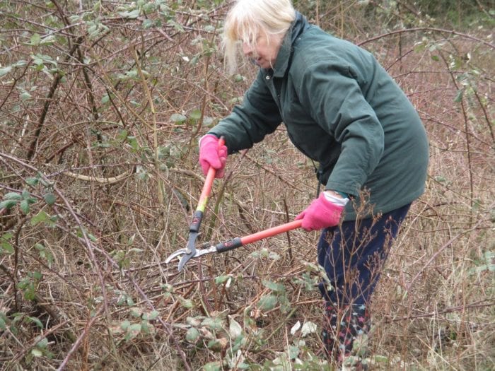 Using loppers