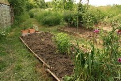 allotment June 2018