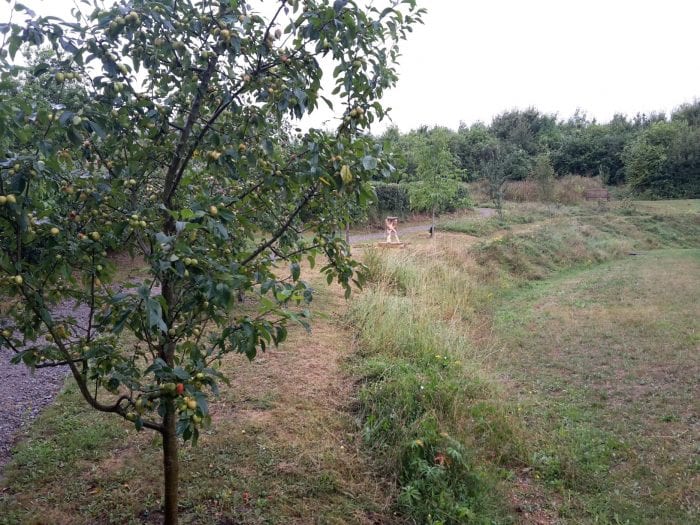 fruit tree path