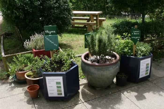 herb pots