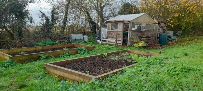Allotment and shed