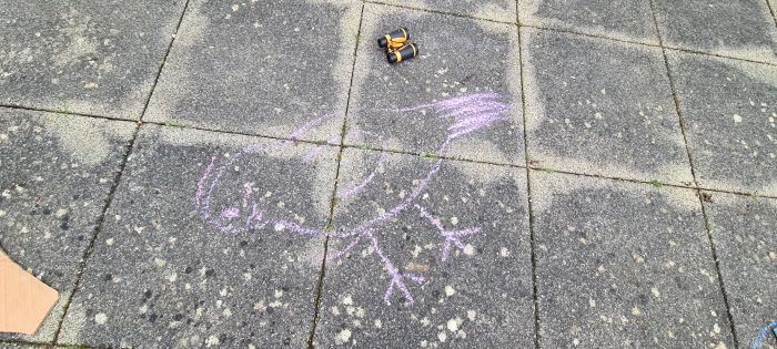 Bird in chalk