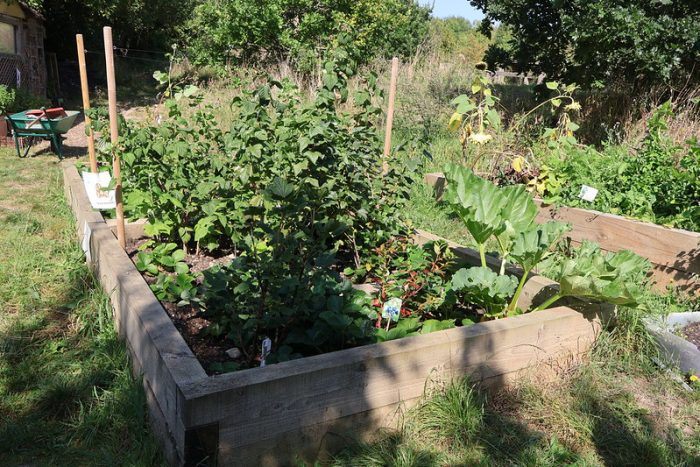 Fruit bed