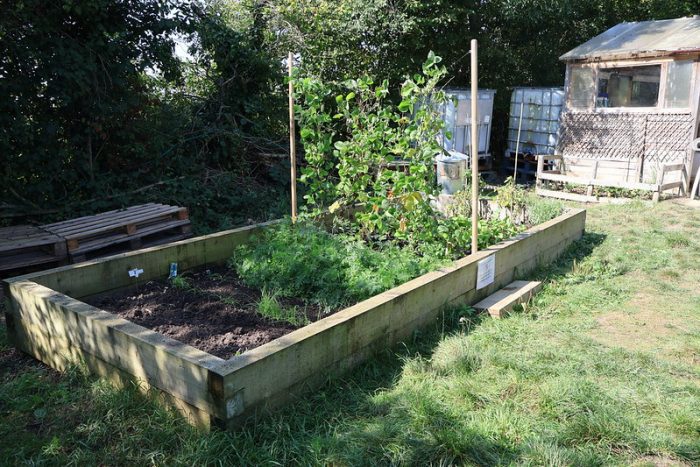 Vegetable bed