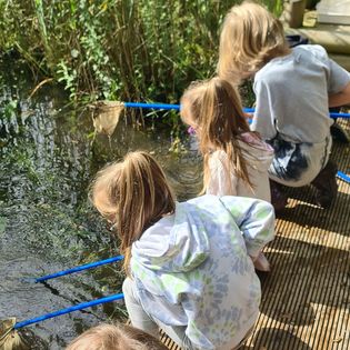 pond dipping